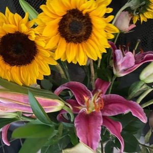 Meet your Posher, Eli